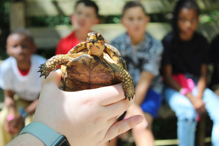 children holding a camp wiregrass sign