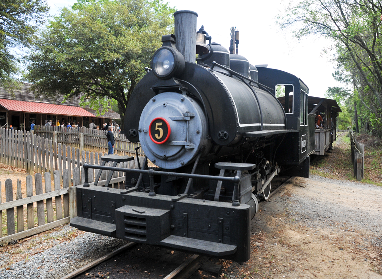 picture of the steam train
