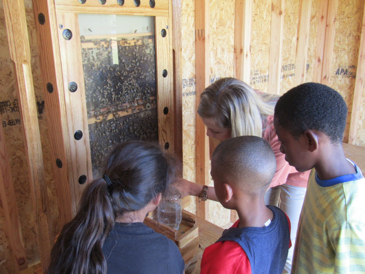 Destination Ag students explored the world of bees at the new observation beehive this year at ABAC’s Georgia Museum of Agriculture and Historic Village.