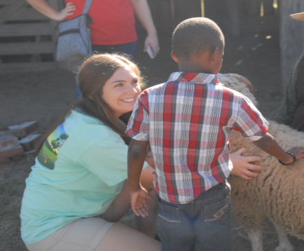 Destination Ag student meets the sheep