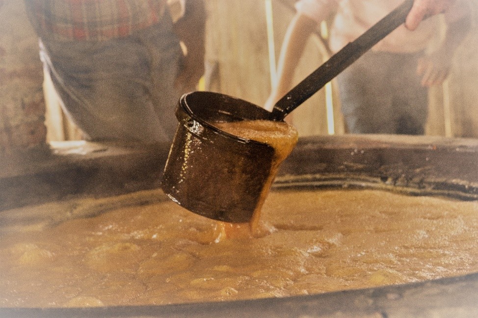 <strong>Cane Grinding, Syrup Making on November 19 at </strong><strong>ABAC’s Georgia Museum of Agriculture</strong>
