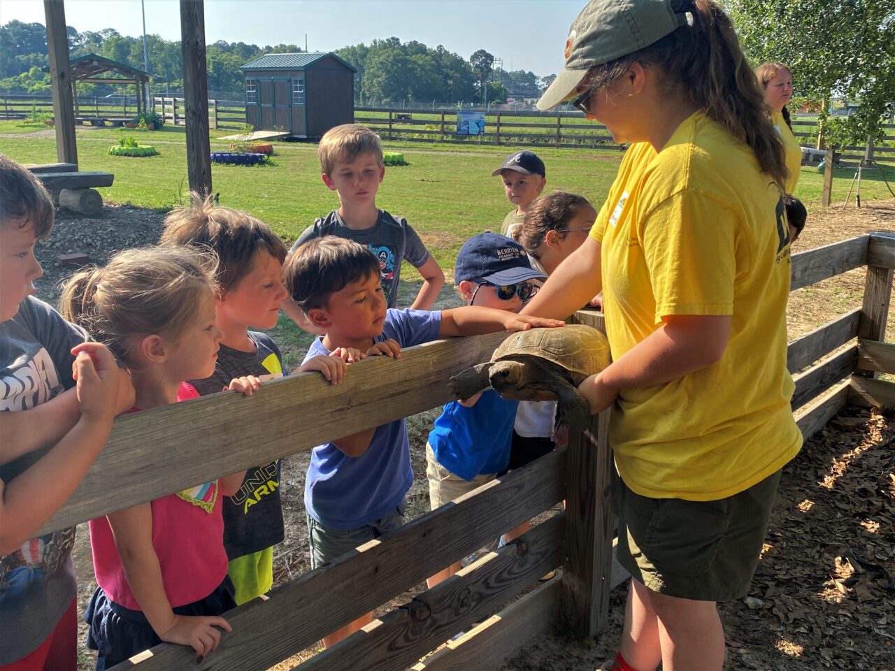 <strong>ABAC’s Georgia Museum of Agriculture offers Camp Wiregrass for Kids This Summer</strong>
